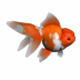 Wanda 小魚