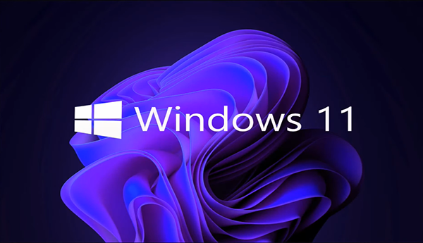 Windows 11